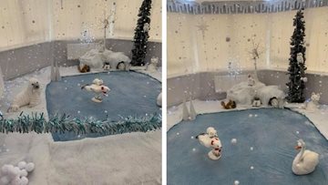 Ghyll Grove care home creates snow globe scene